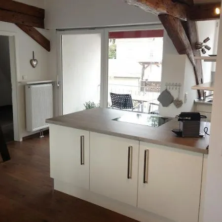 Muensterblick 아파트 *